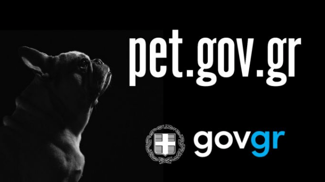Read more about the article pet.gov.gr: Σε λειτουργία η πλατφόρμα για υιοθεσία αδέσποτων