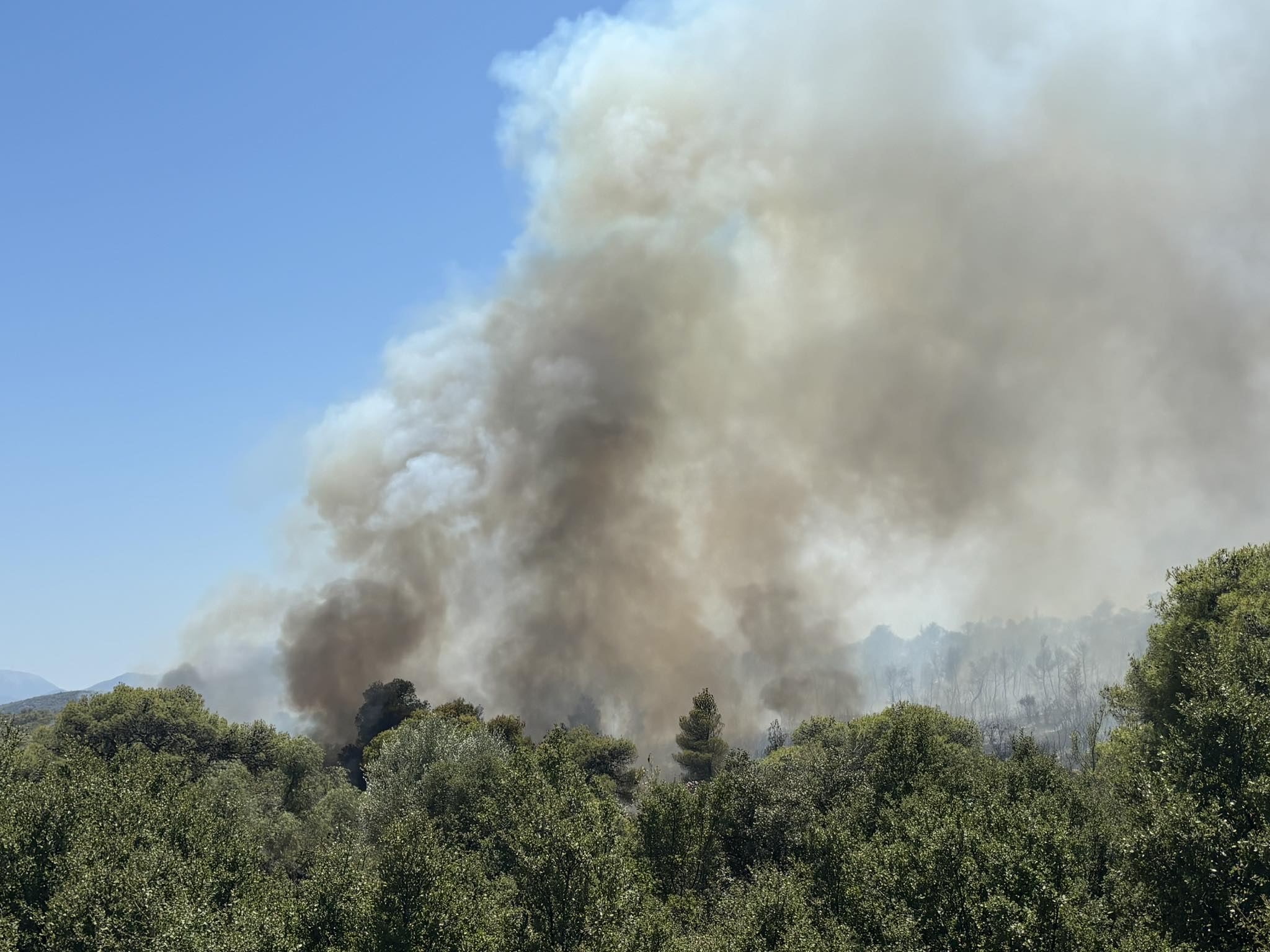 You are currently viewing Φωτιά στο Σοφικό Κορινθίας, στον τελευταίο πυρήνα δασικής έκτασης