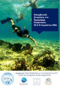 Read more about the article Κολυμβητικές ξεναγήσεις στο Παυλοπέτρι της Ελαφονήσου