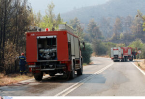 Read more about the article Κατηγορία κινδύνου 4 για πυρκαγιά, τρεις περιοχές στην Πελοπόννησο