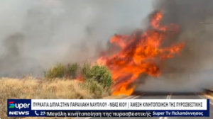 Read more about the article ΦΩΤΙΑ ΔΙΠΛΑ ΣΤΗΝ ΠΑΡΑΛΙΑΚΗ ΝΑΥΠΛΙΟΥ – ΝΕΑΣ ΚΙΟΥ ΆΜΕΣΗ ΚΙΝΗΤΟΠΟΙΗΣΗ ΤΗΣ ΠΥΡΟΣΒΕΣΤΙΚΗΣ (BINTEO)