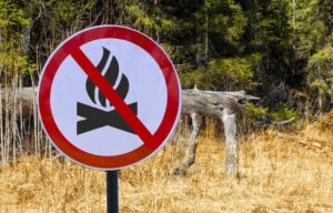 Read more about the article Απαγόρευση κυκλοφορίας οχημάτων και παραμονής εκδρομέων σε περιοχές NATURA, δασικά οικοσυστήματα, πάρκα και άλση της Π.Ε. ΑΡΚΑΔΙΑΣ, κατά την αντιπυρική περίοδο 2026