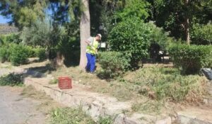 Read more about the article Εργασίες κοπής χόρτων και καθαρισμού σε όλο το Δήμο Άργους – Μυκηνών