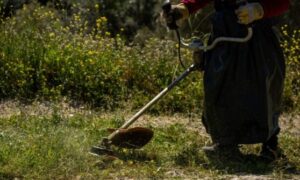 Read more about the article Ακαθάριστα οικόπεδα: Εκπνέει σήμερα η προθεσμία, δεν θα δοθεί άλλη παράταση – Τα πρόστιμα και οι κυρώσεις