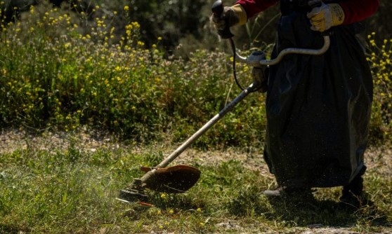 Read more about the article Ακαθάριστα οικόπεδα: Εκπνέει σήμερα η προθεσμία, δεν θα δοθεί άλλη παράταση – Τα πρόστιμα και οι κυρώσεις