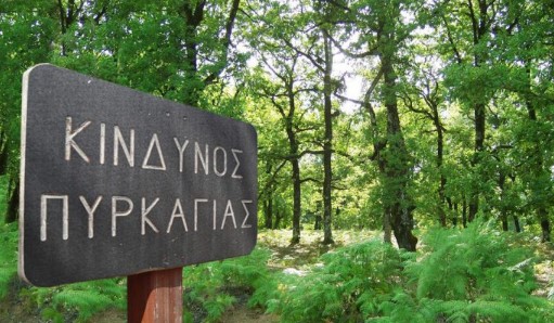 Read more about the article Υψηλός κίνδυνος πυρκαγιάς σήμερα σε πολλές περιοχές της χώρας (χάρτης)