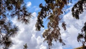 Read more about the article Καιρός: Αστάθεια και μελτέμι κρατούν μακριά τον καύσωνα