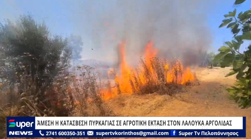 Read more about the article ΆΜΕΣΗ H ΚΑΤΑΣΒΕΣΗ ΠΥΡΚΑΓΙΑΣ ΣΕ ΑΓΡΟΤΙΚΗ ΕΚΤΑΣΗ ΣΤΟΝ ΛΑΛΟΥΚΑ ΑΡΓΟΛΙΔΑΣ (VD)