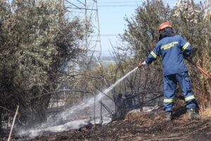 Read more about the article Υψηλός κίνδυνος πυρκαγιάς σε 7 περιοχές σήμερα – Ποιες περιοχές βρίσκονται στο «κίτρινο»