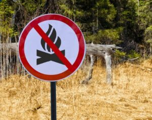Read more about the article Η Περιφέρεια Πελοποννήσου υπενθυμίζει την αυστηρή τήρηση των αποφάσεων απαγόρευσης κυκλοφορίας στις δασικές περιοχές