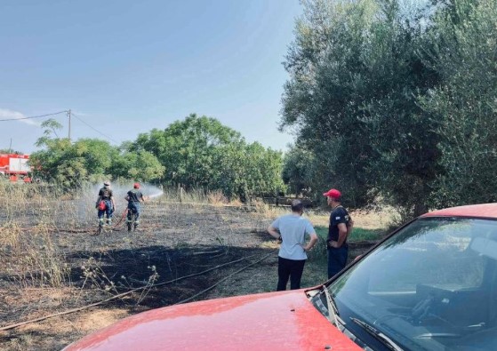You are currently viewing Καλαμάτα: Άμεση επέμβαση της Πυροσβεστικής σε φωτιά στον Άγιο Φλώρο – Τέθηκε γρήρα υπό έλεγχο