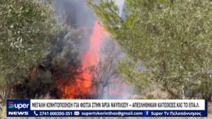 Read more about the article ΜΕΓΑΛΗ ΚΙΝΗΤΟΠΟΙΗΣΗ ΓΙΑ ΦΩΤΙΑ ΣΤΗΝ ΑΡΙΑ ΝΑΥΠΛΙΟΥ – ΑΠΕΙΛΗΘΗΚΑΝ ΚΑΤΟΙΚΙΕΣ ΚΑΙ ΤΟ ΕΠΑ.Λ. (ΒΙΝΤΕΟ)