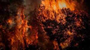 Read more about the article Πολύ υψηλός κίνδυνος πυρκαγιάς σήμερα σε Αττική και άλλες επτά περιφέρειες της χώρας