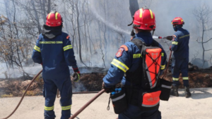 Read more about the article Εργατικό Κέντρο Κορίνθου: Συλλυπητήρια για τους τρεις πυροσβέστες που έχασαν τη ζωή τους εν ώρα καθήκοντος