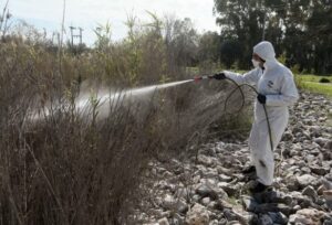 Read more about the article Ιός του Δυτικού Νείλου: 232 κρούσματα, 19 νεκροί – 13χρονος νοσηλεύεται, διασπορά σε 61 δήμους