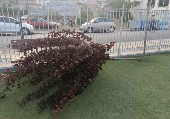 You are currently viewing Βανδαλισμός στην παιδική χαρά της Αγίας Βαρβάρας