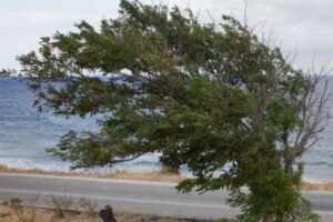 Read more about the article Καιρός: Άνεμοι ως 9 Μποφόρ – Κόκκινος συναγερμός για πυρκαγιές σε Αττική και Εύβοια – Πότε αναμένεται αποκλιμάκωση
