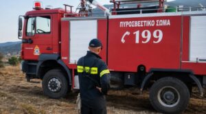 Read more about the article Μεσσηνία: Άμεσα τέθηκε υπό έλεγχο φωτιά στο Πετροχώρι της Πύλου