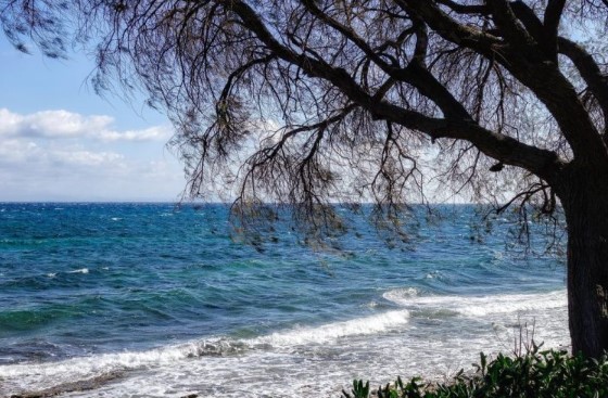 Read more about the article Καιρός: Στους 38 βαθμούς ο υδράργυρος – Ενισχυμένοι οι άνεμοι στο Αιγαίο