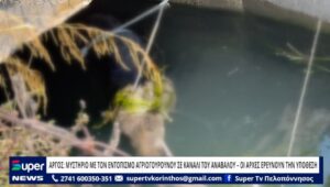 Read more about the article ΑΡΓΟΣ :ΜΥΣΤΗΡΙΟ ΜΕ ΤΟΝ ΕΝΤΟΠΙΣΜΟ ΑΓΡΙΟΓΟΥΡΟΥΝΟΥ ΣΕ ΚΑΝΑΛΙ ΤΟΥ ΑΝΑΒΑΛΟΥ – ΟΙ ΑΡΧΕΣ ΕΡΕΥΝΟΥΝ ΤΗΝ ΥΠΟΘΕΣ (ΒΙΝΤΕΟ)