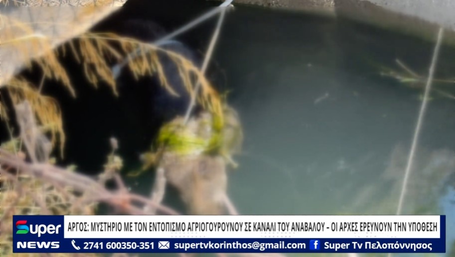 ΑΡΓΟΣ :ΜΥΣΤΗΡΙΟ ΜΕ ΤΟΝ ΕΝΤΟΠΙΣΜΟ ΑΓΡΙΟΓΟΥΡΟΥΝΟΥ ΣΕ ΚΑΝΑΛΙ ΤΟΥ ΑΝΑΒΑΛΟΥ – ΟΙ ΑΡΧΕΣ ΕΡΕΥΝΟΥΝ ΤΗΝ ΥΠΟΘΕΣ (ΒΙΝΤΕΟ)