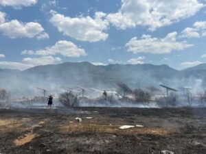 Read more about the article Μεσσηνία: Φωτιά στο Αριοχώρι – Επιχειρούν και εναέρια μέσα