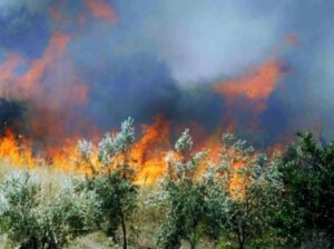 Read more about the article Πολύ υψηλός κίνδυνος πυρκαγιάς και την Παρασκευή (14.8.2026) στον δήμο Τρίπολης