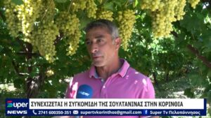 Read more about the article ΣΥΝΕΧΙΖΕΤΑΙ Η ΣΥΓΚΟΜΙΔΗ ΤΗΣ ΣΟΥΛΤΑΝΙΝΑΣ ΣΤΗΝ ΚΟΡΙΝΘΙΑ (VD)