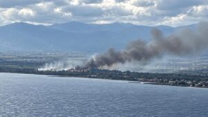 Read more about the article Καλαμάτα: Φωτιά σε καλαμιώνες στη Δυτική Παραλία